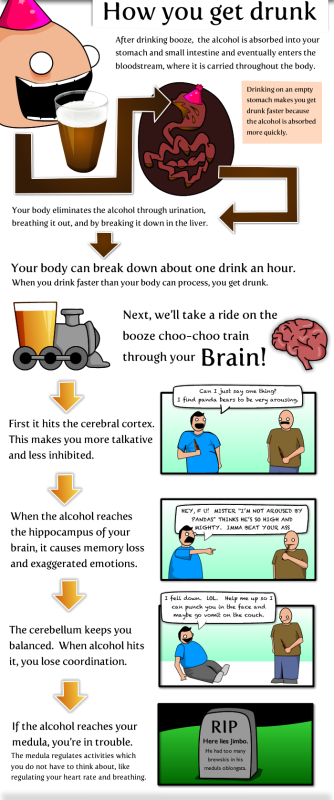 20 Things worth knowing about Beer Infographics 7
