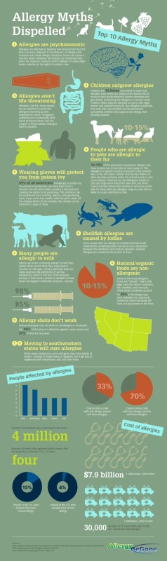 Allergy Infographic