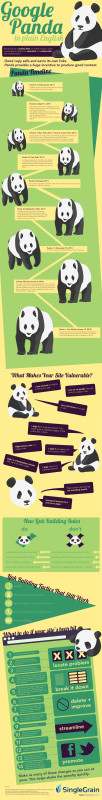 Google Panda Infographic