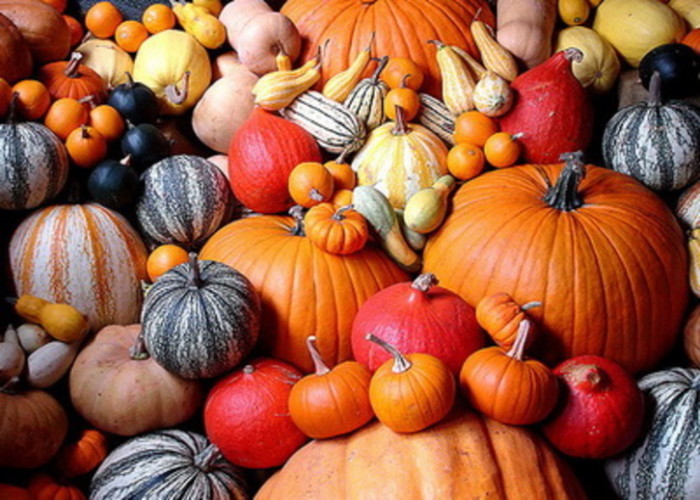 Halloween And Pumpkins History